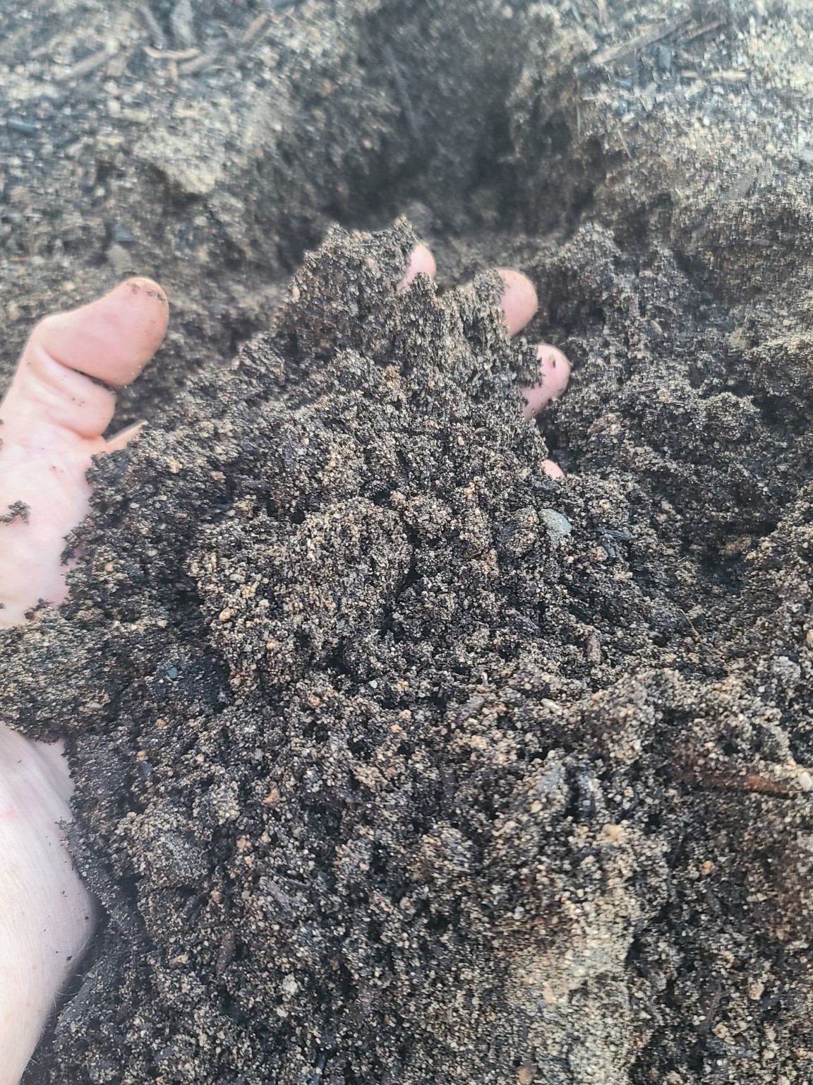 A handful of dark, crumbly worm castings